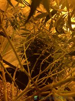IMG_6754.jpeg