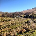 IMG_4593.jpeg