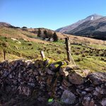 IMG_4594.jpeg
