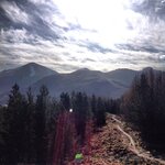 IMG_4597.jpeg