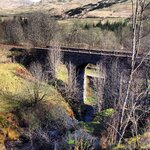 IMG_4598.jpeg