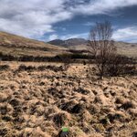 IMG_4601.jpeg