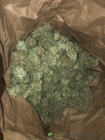 IMG_7613.jpeg