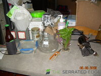 DSCN3784.JPG