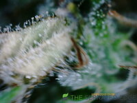PICT0002.JPG