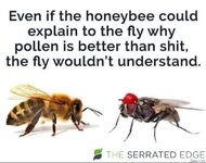 FB_IMG_1743407647198.jpg