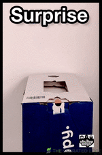 Surprise GIF by Stick Up Music.gif