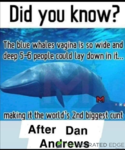 1603661926682.png