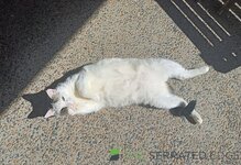 IMG_20250429_150004.jpg