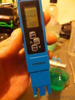 20250501_164656.jpg