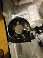20250509_195401.jpg