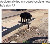 1746848594440.png