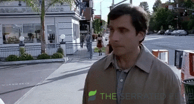 giphy (67).gif