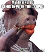 1746968826581.jpeg
