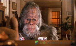 giphy (86).gif