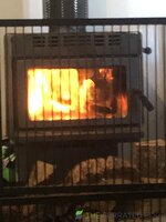 IMG_7813.jpeg