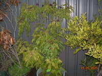 DSCN3814.JPG