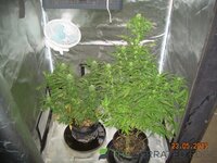 DSCN3817.JPG