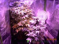 DSCN3818.JPG