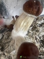 IMG_5752.jpeg