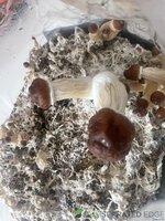 IMG_5751.jpeg