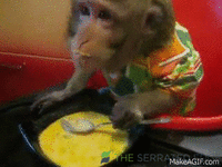 giphy - 2025-06-02T144616.457.gif