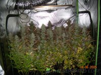 DSCN3820.JPG