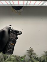 IMG_1448.jpeg