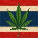 thaicannabis.jpg