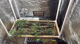 IMG_1511.jpeg
