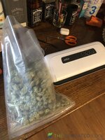 IMG_7916.jpeg