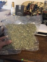 IMG_7921.jpeg