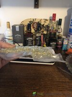 IMG_7922.jpeg