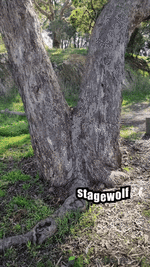 giphy - 2025-07-04T224121.400.gif