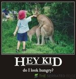 hykddlkhngry.jpg