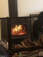IMG_7893.jpeg