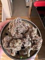 IMG_9670.jpeg