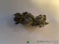 IMG_0492.jpeg