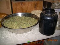 DSCN3833.JPG