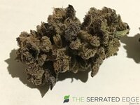 IMG_3253.jpeg