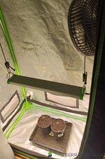 IMG_20250824_172606.jpg