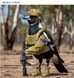 spring.jpg