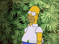 1756269949334.gif