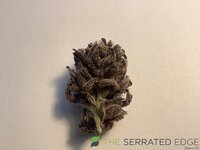 IMG_0538.jpeg