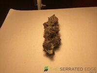 IMG_0550.jpeg