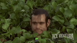 giphy - 2025-09-02T223527.242.gif