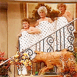 giphy - 2025-09-07T004749.204.gif
