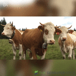 giphy - 2025-09-07T110536.494.gif