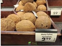 IMG_0388.jpeg