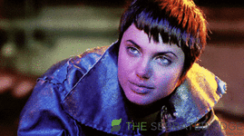 giphy - 2025-09-07T191224.964.gif
